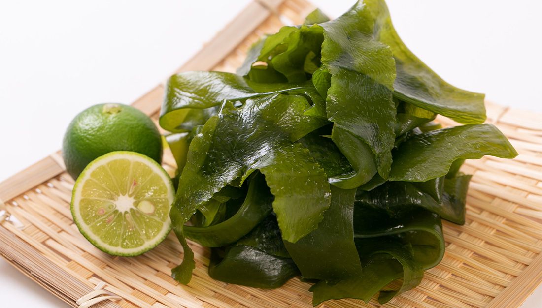 Naruto wakame with sudachi