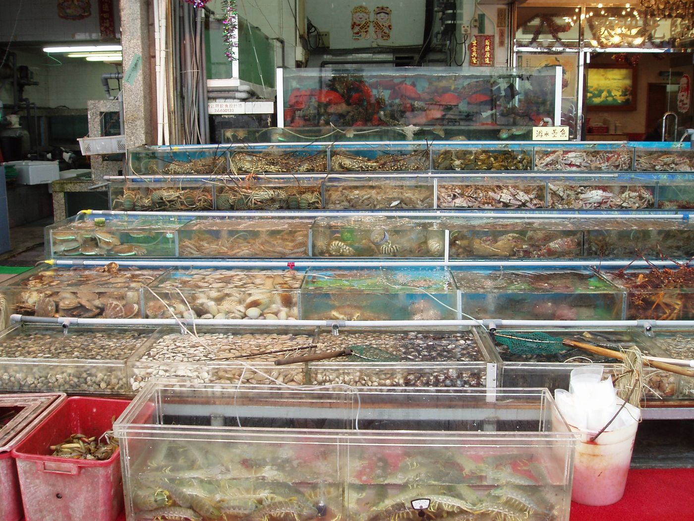 Live seafood tanks at a Hong Kong seafood market